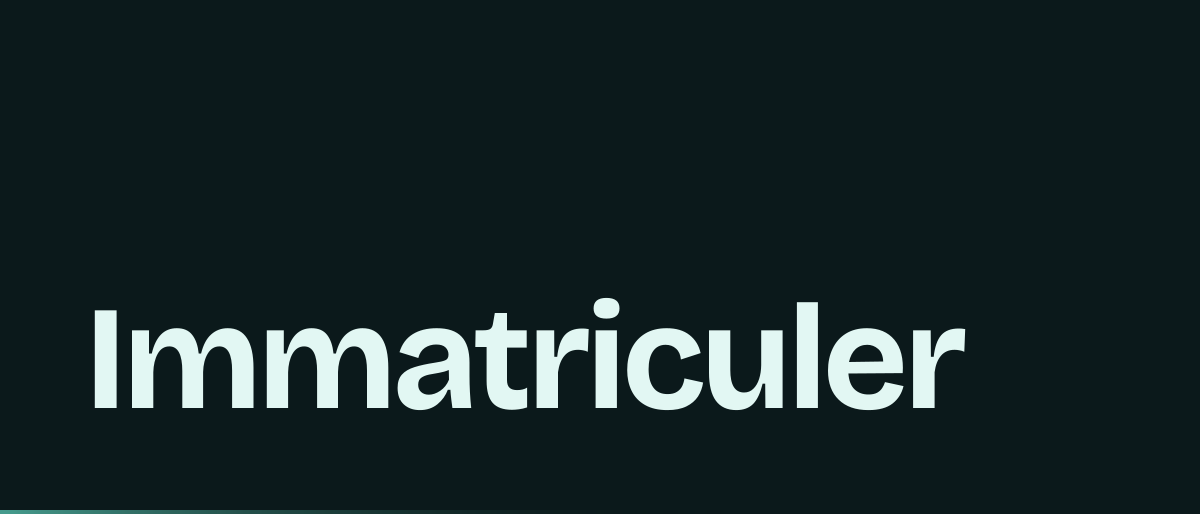 Jaquette de la page « Immatriculer une entreprise individuelle : le guichet unique pas à pas » : Immatriculer