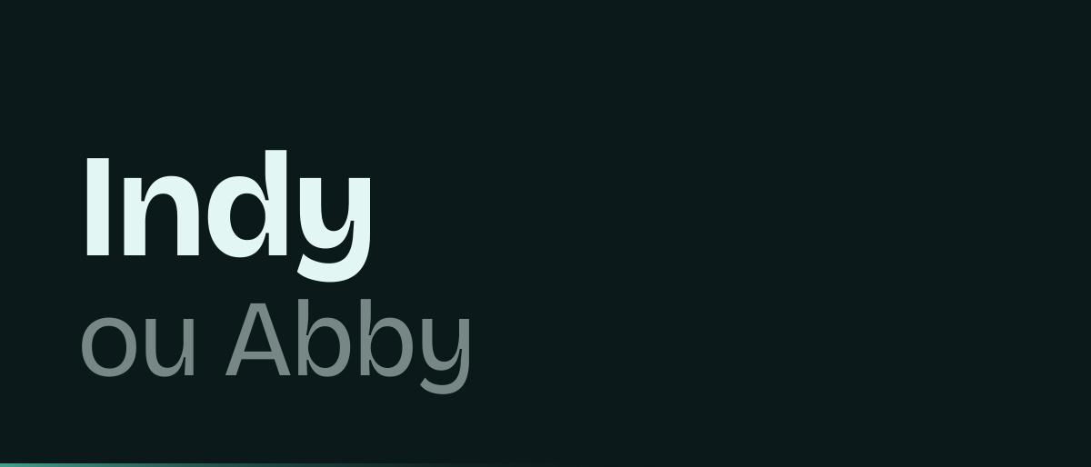 Jaquette de la page « Indy ou Abby pour facturer en électronique ? » : Indy ou Abby