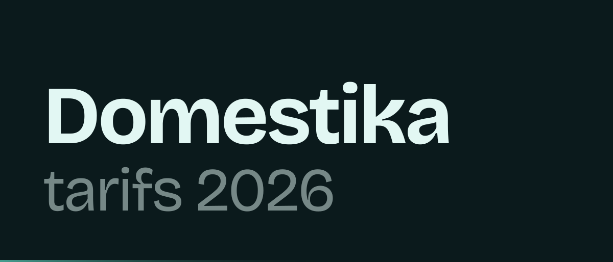 Jaquette de la page « Domestika Plus tarifs 2026 : abonnement, crédit mensuel et prix de renouvellement » : Domestika tarifs 2026