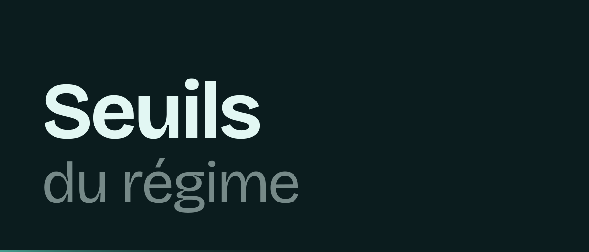 Jaquette de la page « Seuils du régime micro pour un créateur : ce qui fait basculer au réel » : Seuils du régime